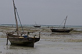 Low tide, Nungwi beach